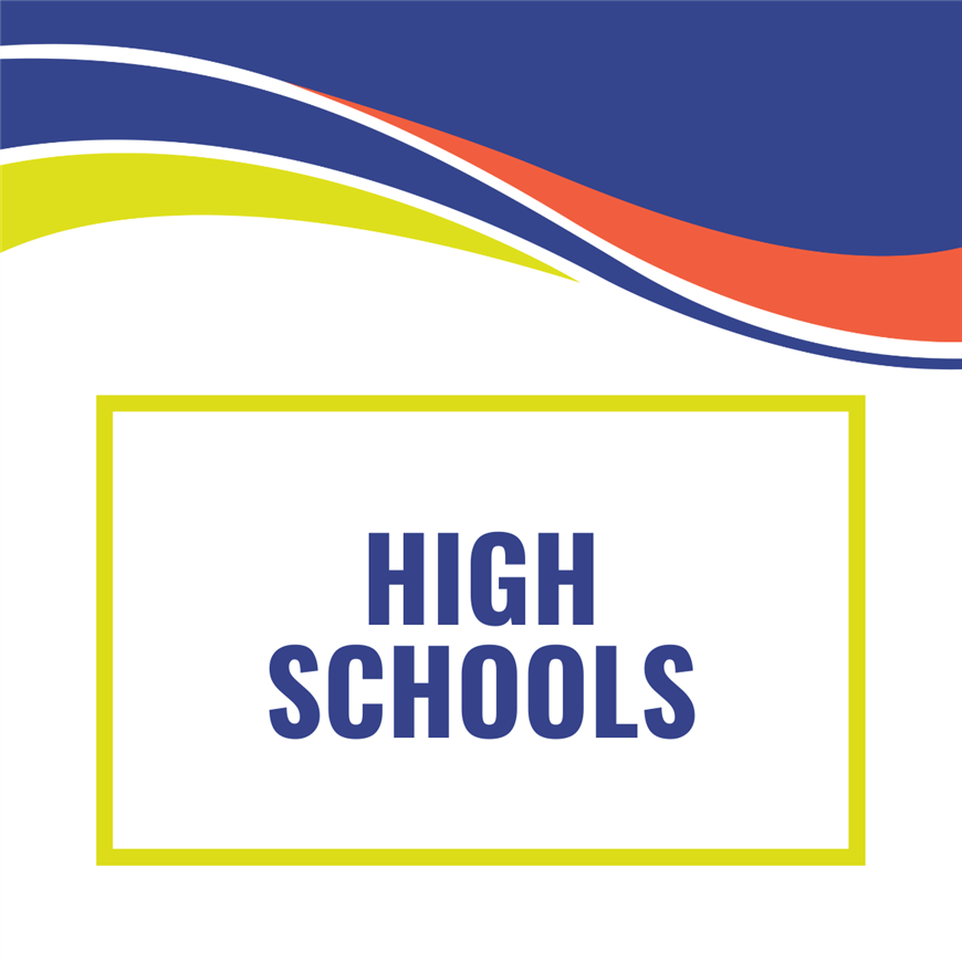 CEO High Schools Website Button